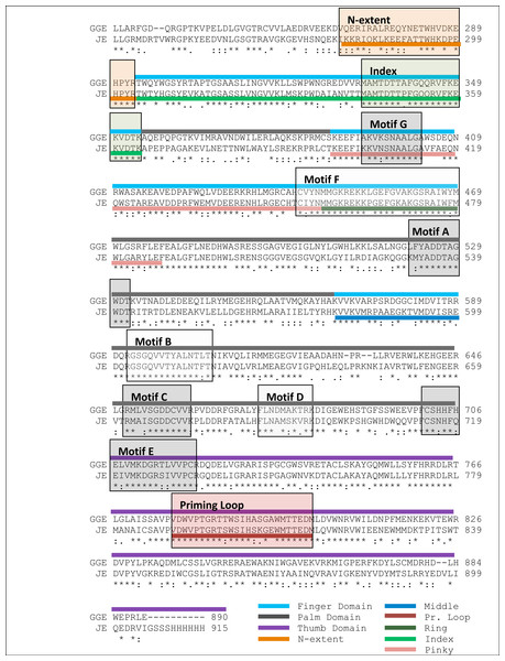 Sequence alignment between the GreekGoat Encephalitis viral NS5 RdRP and the corresponding sequence of the crystal structure of Japanese Encephalitis NS5 RdRP.