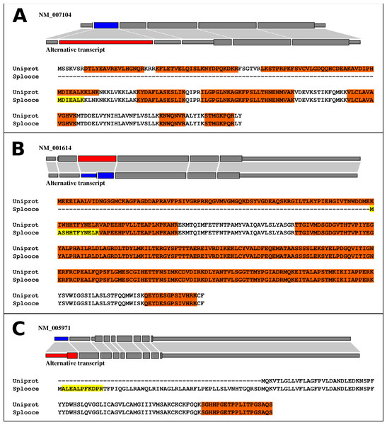 Alignments between normal (Uniprot/RefSeq) and alternative (Splooce) proteins, showing different categories of alternative TIS observed for our data.