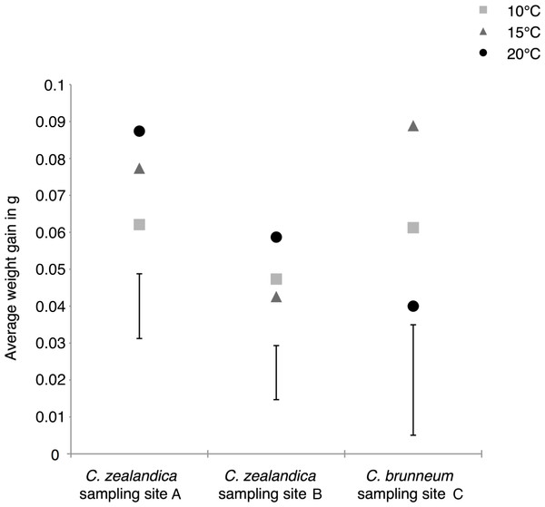 Average weight gains of the surviving larvae of two populations of Costelytra zealandica and one population of C. brunneum after 6 weeks of treatment under different temperatures.