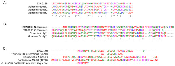 Multiple sequence alignments of (A) BXA0138, (B) BXA0139 and (C) BXA0140 with the identified similar sequences (for details see “Results” section).