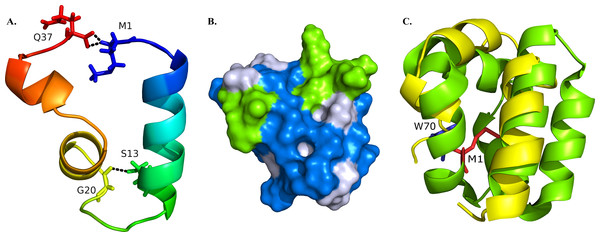 Structural model of BXA0140.