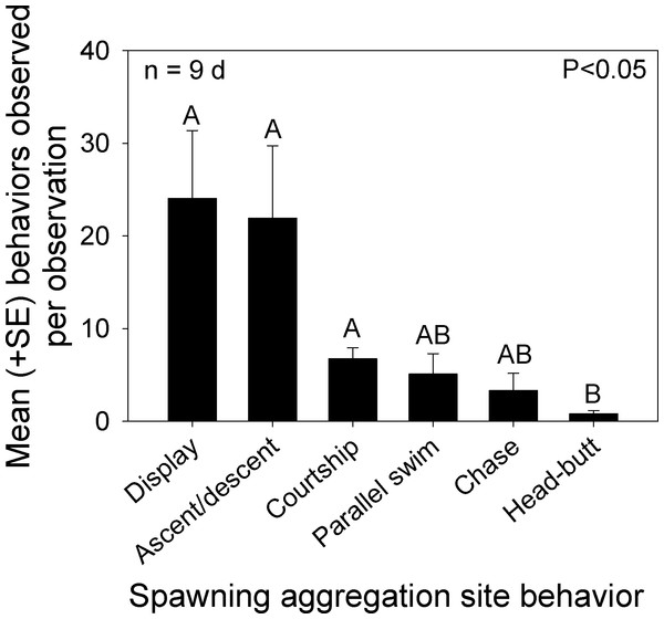 Distribution of behaviors observed at the Bolbometopon muricatum spawning aggregation site at Wake Atoll.