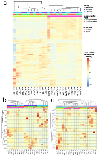 Overall gene expression differences according to nematode population and experimental host species.