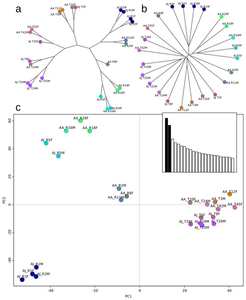 European and Asian samples are differentiated by their genotypic profiles.