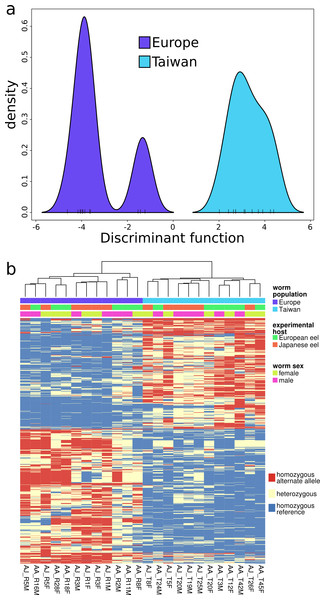 Gene ranking for contributions to genotypic differentiation.