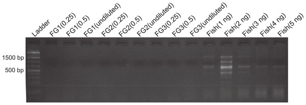 DNA amplification at different concentrations in foreguts and fish extracts.