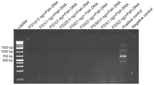 Effects of foregut extract on fish DNA amplification.