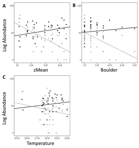 Log abundance of fish (black) and turtles (gray) for each site sampled plotted against the zMean (A), Boulder (B), and Temperature (C) environmental variables.