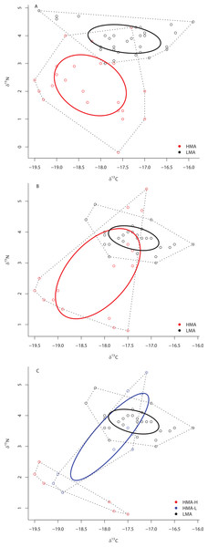Bivariate δ13C and δ15N plot depicting the placement of HMA and LMA sponges within the isotopic niche space of Media Luna Site #2 (A) and Media Luna Site #3 (B).