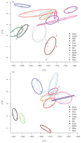 Bivariate δ13C and δ15N plot depicting the placement of 12 species within the isotopic niche space of Media Luna Site #2 (A) and 11 species within the isotopic niche space of Media Luna Site #3 (B).