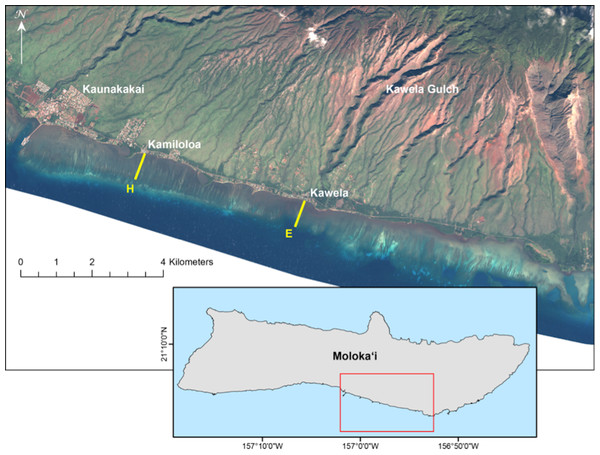 Landsat satellite image of study site on the south shore of Molokaʻi, Hawaiʻi.