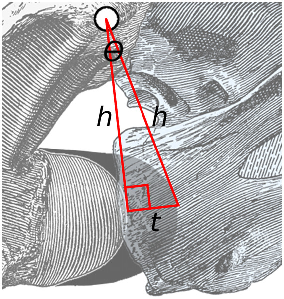 Close-up of area of rotation in Fig. 2.