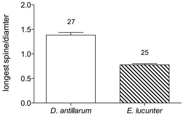 Mean ratio of longest spine per test diameter (±SEM) of Diadema and Echinometra (t = 10.74, df = 51; p < 0.0001).