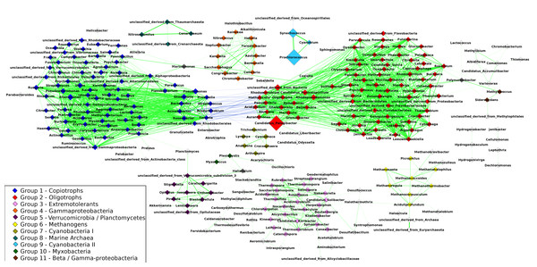 Correlations network: the 1,906 edges linking 297 nodes represent significant correlations between the relative abundances of the connected taxa.