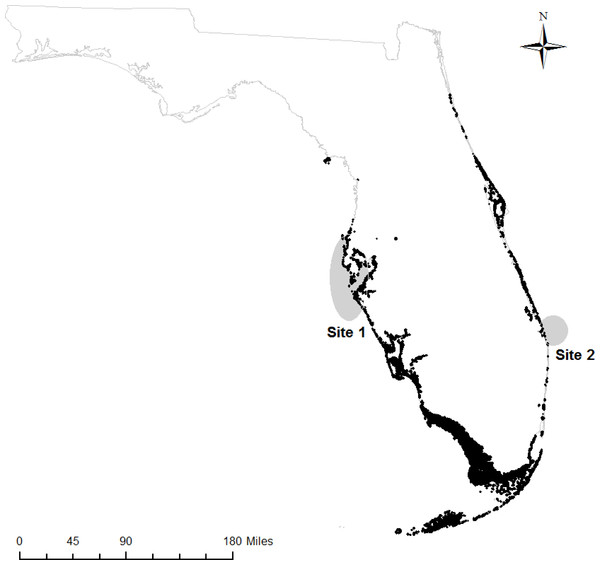 Sampling regions.