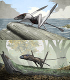 Were early pterosaurs inept terrestrial locomotors? [PeerJ]