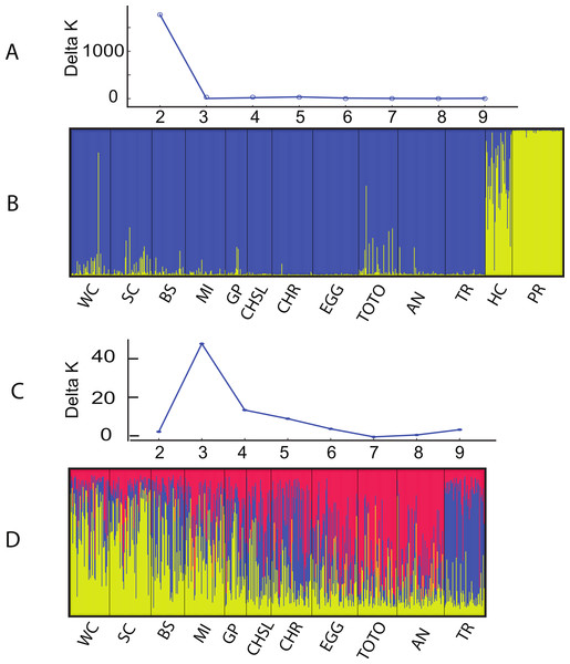 Structure analysis of A. elisabethae populations in The Bahamas.