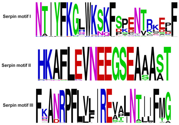 Serpin motifs of ATIII proteins.