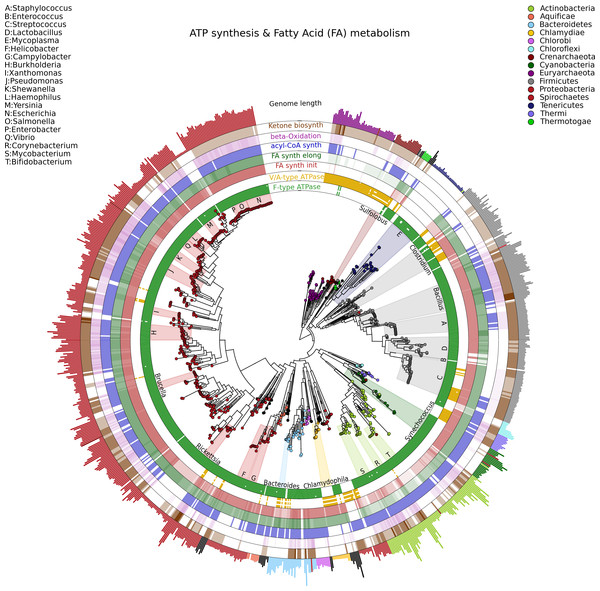 A large, 3,737 genome phylogeny annotated with functional genomic properties.