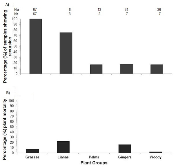 Plant recursion and plant mortality.