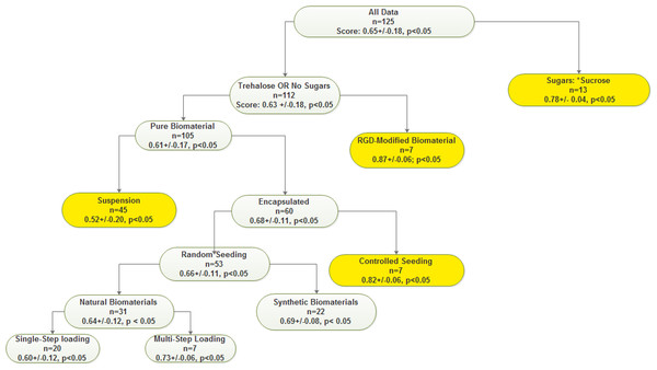 The decision tree learning model.