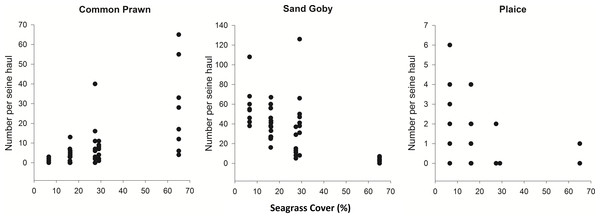 Density of common prawn, sand goby and plaice per seine net haul with respect to seagrass average percentage cover (per 0.25 m2) at Porthdinllaen, North Wales.