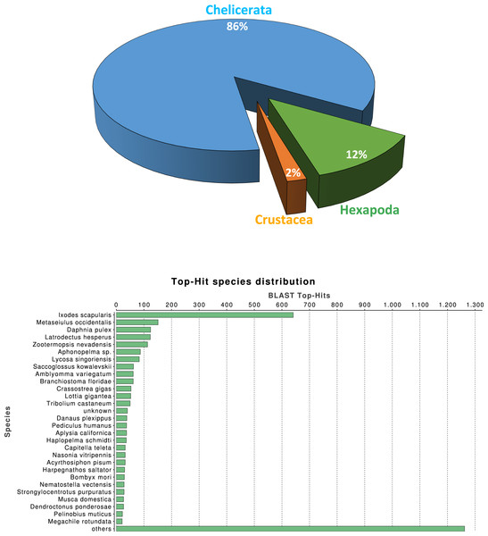 Macrothele taxonomic distribution.