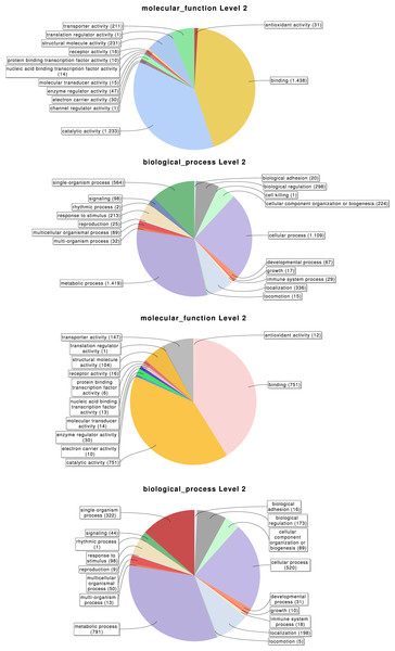 Distribution of the Gene Ontology (GO) terms associated with the complete set of M. calpeiana transcripts (2,619 transcripts with GO annotations over 6,696 sequences).