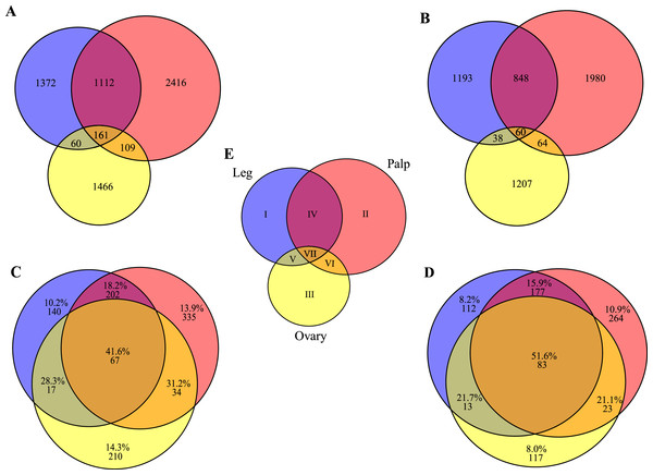 Transcript distribution across tissues.