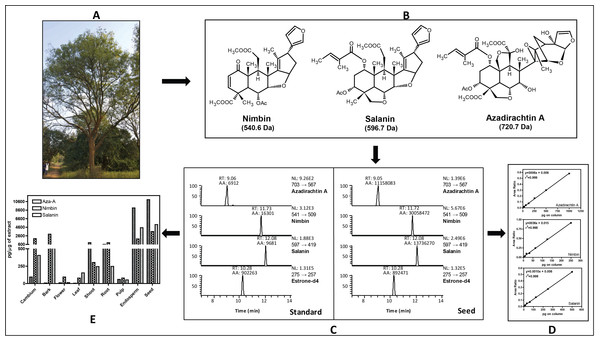 Estimation of major neem metabolites from different tissues of neem.