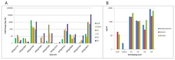 Correlation of gene expression using qPCR and metabolites content in various neem tissues.