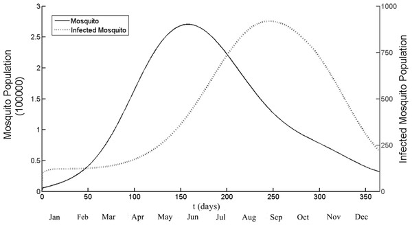 The total number of mosquito and infected mosquito population generated by the model as a function of time (days).