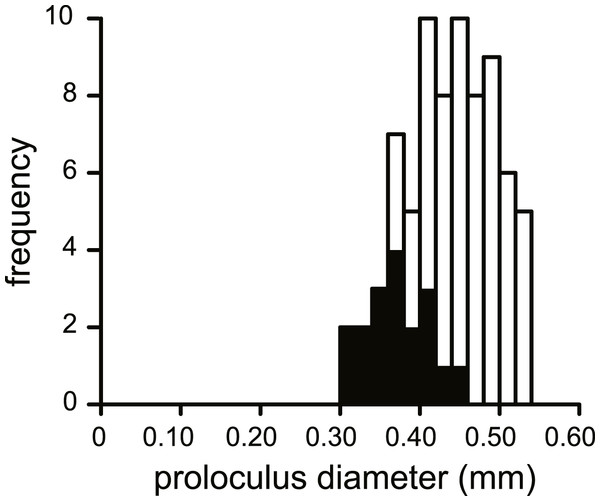 Histogram of the proloculus size in N. djokdjokartae.