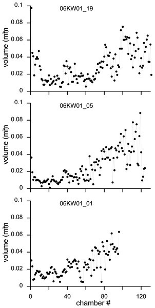 Variation in chamber volumes for three specimens of N. djokdjokartae.