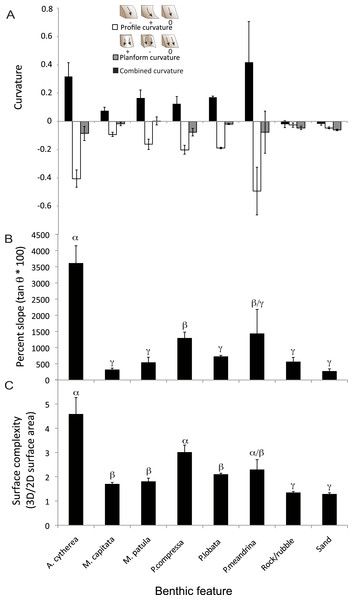 Structural metrics compared among the coral species and two substrate types present in the surveyed habitat.