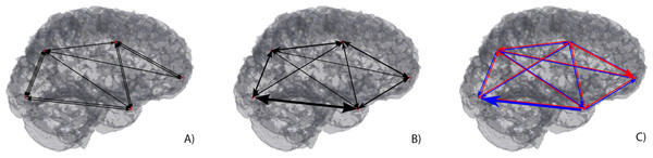 Macroscopic brain connectivity display through 3D Graphs.