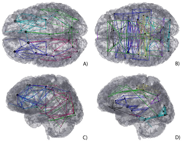 3D Graph visualization of modularity of structural connectivity (A) and (C), and functional connectivity (B) and (D) matrices.