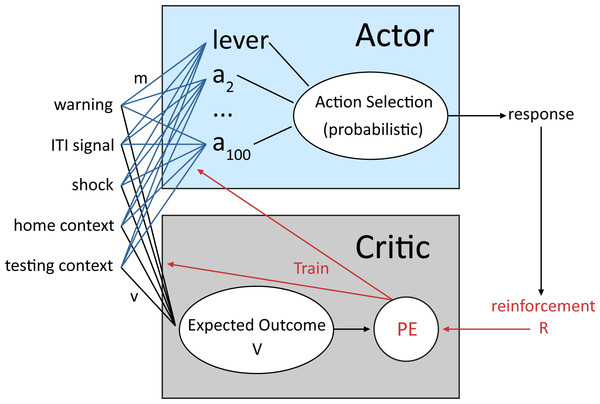 Schematic of the reinforcement learning model used in the current study adapted from Myers et al. (2014).