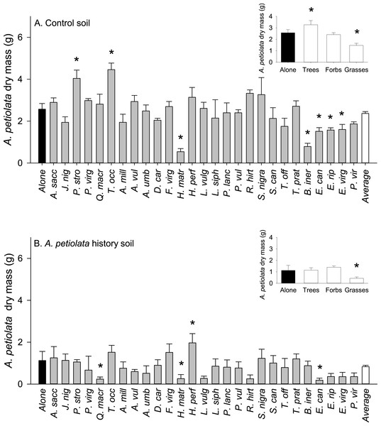 Biomass of A. petiolata alone or in response to competition with other species in control (A) or soil with a history of A. petiolata (B).