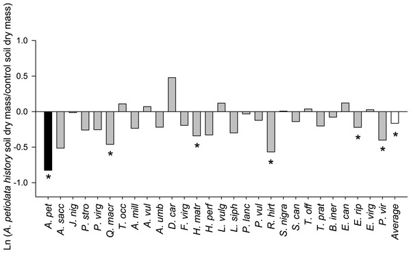 The log response ratio of plant biomass without competition in A. petiolata history relative to control soil.