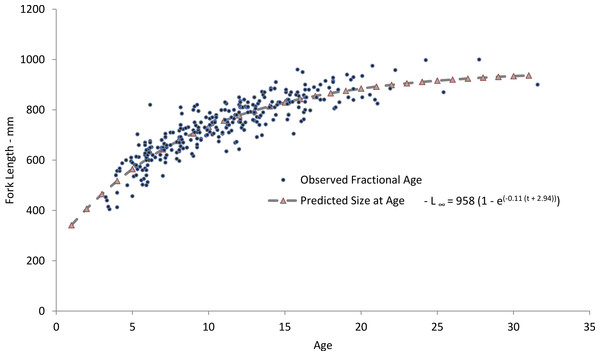 Comparison of observed and predicted size-at-age for yellowfin grouper from the current study.