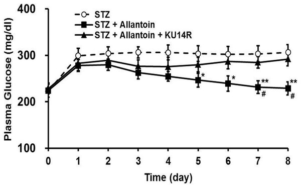 Effects of allantoin and KU14R on blood glucose levels in streptozotocin (STZ) -treated rats.