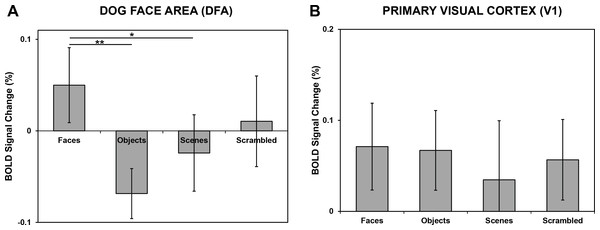 Average percent signal change in DFA and V1.