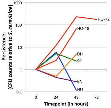 accompanying article image
