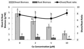 accompanying article image