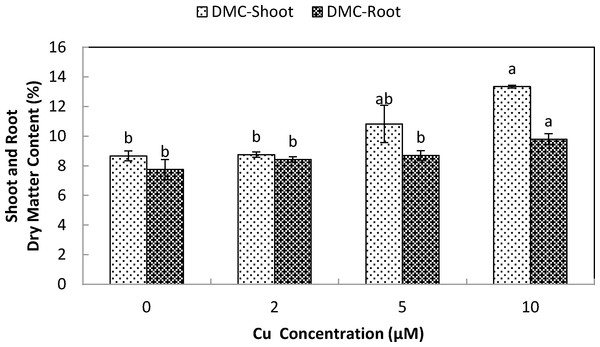 Impact of elevated levels of Cu2+ on dry matter content of stone-head cabbage (Brassica oleracea var. capitata).