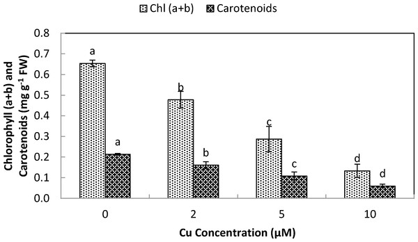 Impact of elevated levels of Cu2+ on pigment content (chl. a + b & carotenoids) of stone-head cabbage (Brassica oleracea var. capitata).