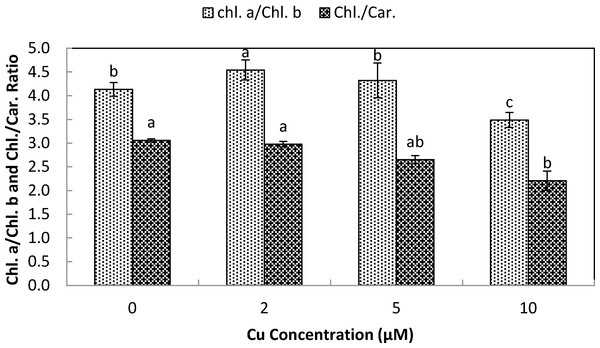Impact of elevated levels of Cu2+ on pigment content (chl.a/chl.b & chl./car. ratio) of stone-head cabbage (Brassica oleracea var. capitata).