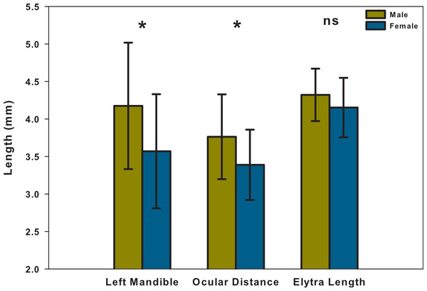 Means and SD of left mandible, ocular distance and elytra length, both male and female.