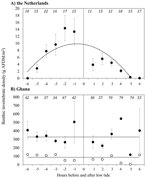 Density of prey at the tide line in g AFDM/m2 at (A) Vlieland, the Netherlands, and (B) Esiama, Ghana.